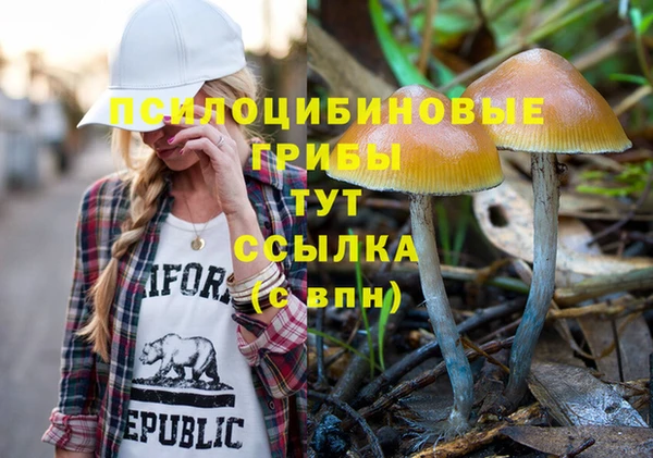 соль курить ск Армянск
