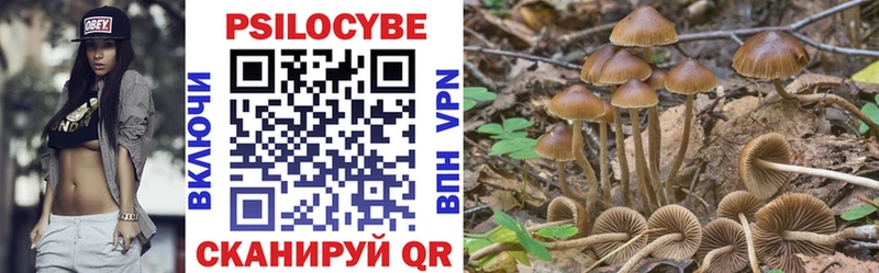 Псилоцибиновые грибы Magic Shrooms  Лениногорск 