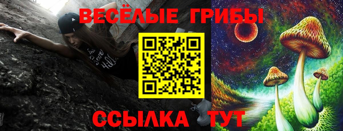 Лениногорск  Галлюциногенные грибы GOLDEN TEACHER  Вход с VPN 